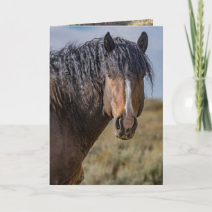 Portrait of Bello Greeting Card