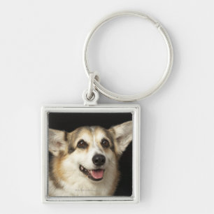 Portrait of black, brown and white Corgi Key Ring