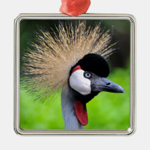 Portrait of Black Crowned Crane Metal Ornament