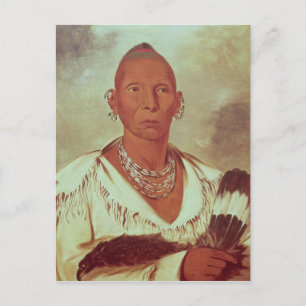 Portrait of Black Hawk, Indian Chief Postcard
