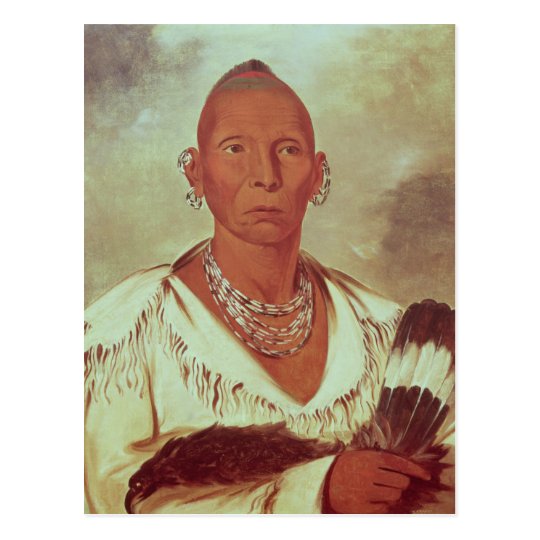 Portrait of Black Hawk, Indian Chief Postcard