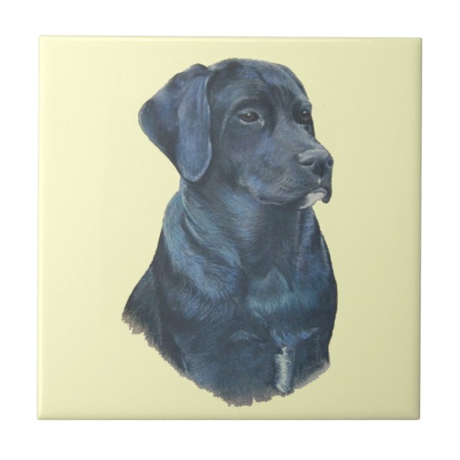 portrait of black labrador dog ceramic tile (Front)