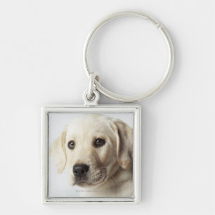 Portrait of blonde Labrador Retriever Puppy Key Ring