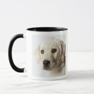 Portrait of blonde Labrador Retriever Puppy Mug