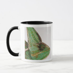Portrait of boldly coloured Yemen chameleon Mug