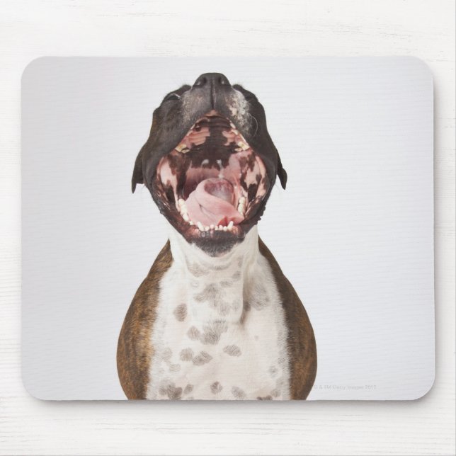 portrait of boxer dog yawning mouse pad (Front)