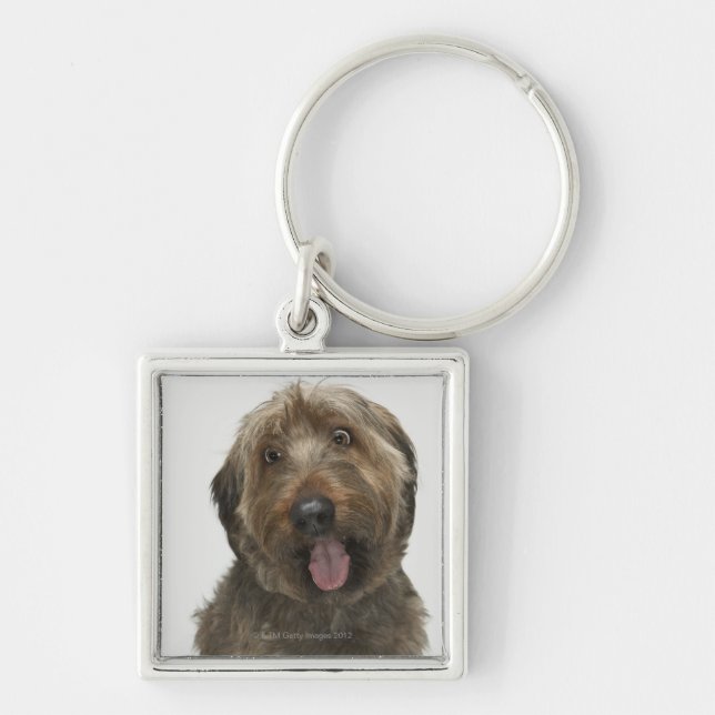 Portrait of Briard dog Key Ring (Front)