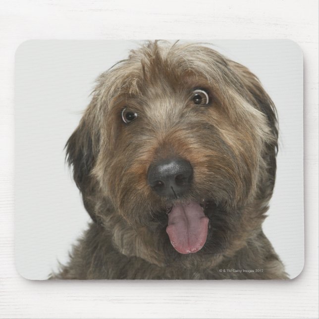 Portrait of Briard dog Mouse Pad (Front)