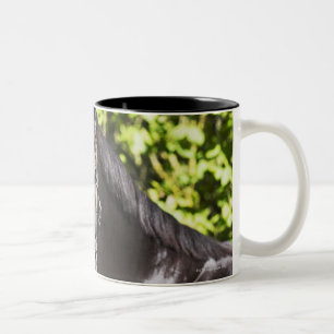 portrait of brown horse 2 Two-Tone coffee mug