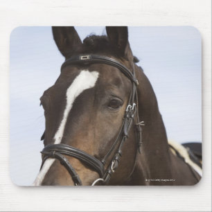 portrait of brown horse mouse pad
