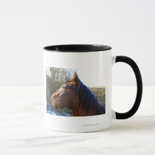 Portrait of brown horse on cold day mug