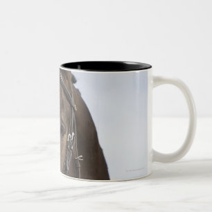 portrait of brown horse Two-Tone coffee mug