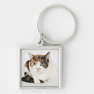 Portrait of Calico cat Key Ring