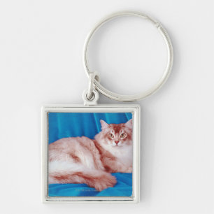 Portrait of cat 3 key ring