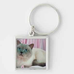 Portrait of cat 4 key ring