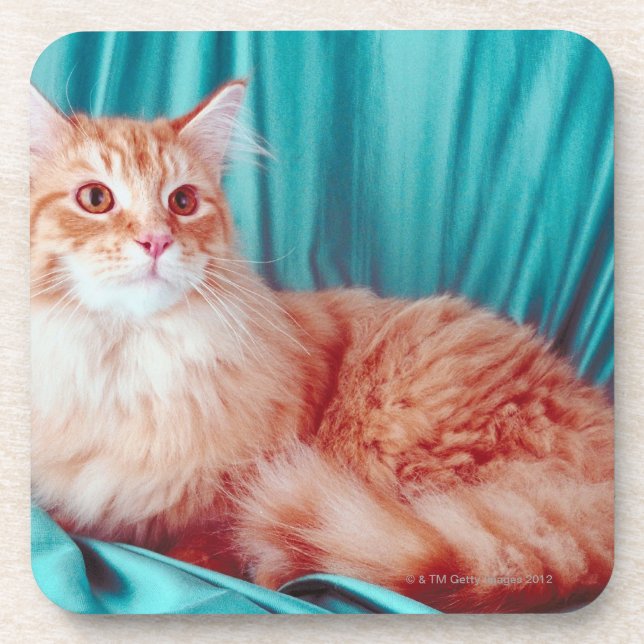 Portrait of cat coaster (Front)