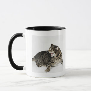 Portrait of cat hissing mug
