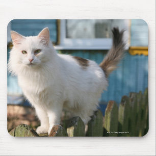 Portrait of cat on fence mouse pad