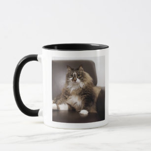 Portrait Of Cat Sitting In Chair Mug