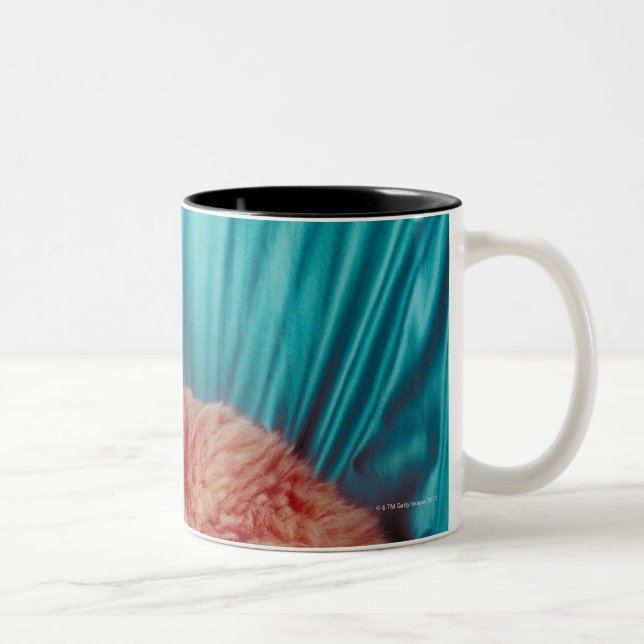 Portrait of cat Two-Tone coffee mug (Right)