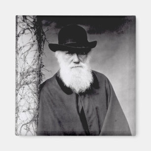 Portrait of Charles Darwin 1881 Magnet