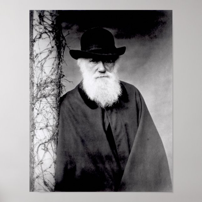 Portrait of Charles Darwin  1881 Poster (Front)