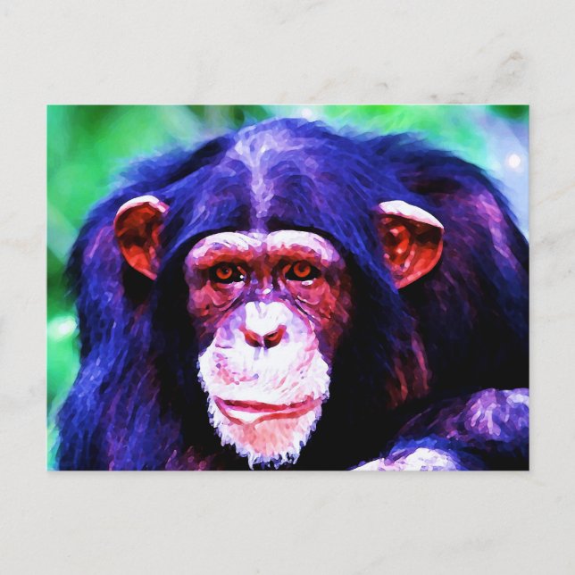 Portrait of Chimpanzee Postcard (Front)