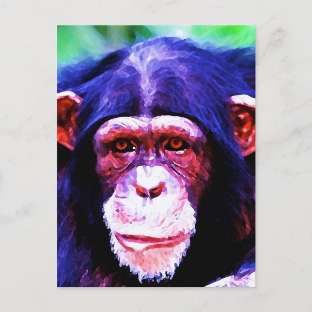 Portrait of Chimpanzee Postcard (Front)