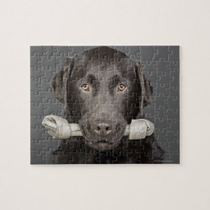 Portrait of chocolate labrador jigsaw puzzle