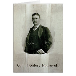 Portrait of Colonel Theodore Roosevelt (litho)