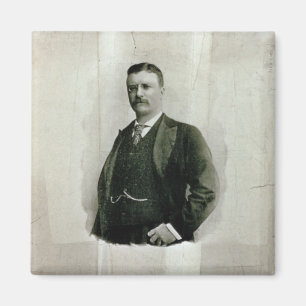 Portrait of Colonel Theodore Roosevelt (litho) Magnet