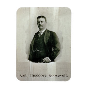 Portrait of Colonel Theodore Roosevelt (litho) Magnet