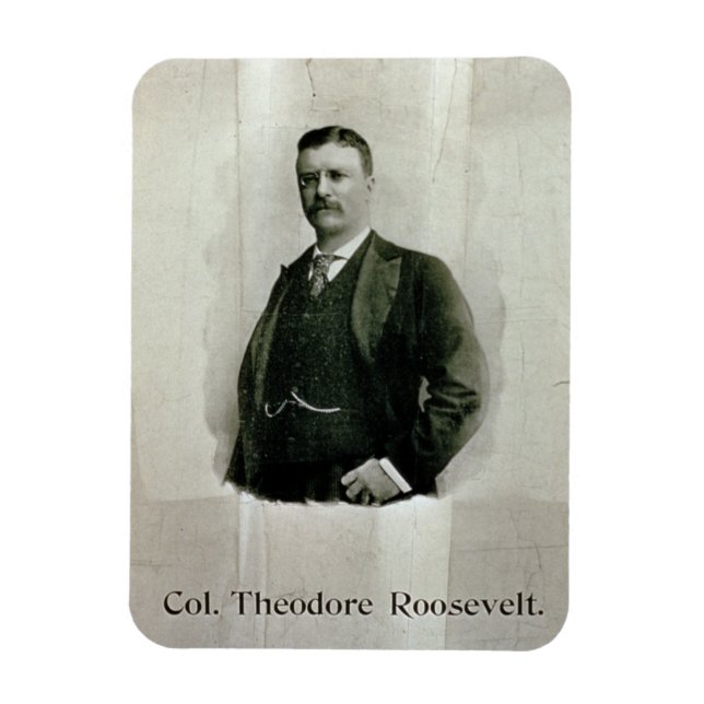 Portrait of Colonel Theodore Roosevelt (litho) Magnet (Vertical)