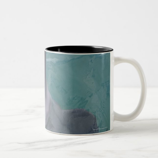 Portrait of Common Bottlenose Dolphin, Caribbean Two-Tone Coffee Mug (Right)