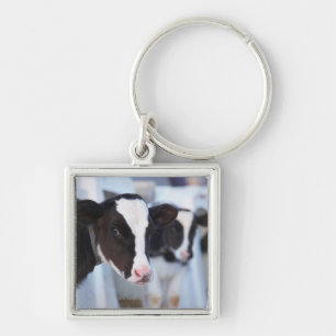 Portrait of cow key ring