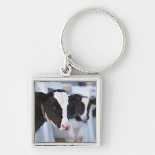 Portrait of cow key ring (Front)