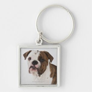 Portrait of cute Bulldog pup Key Ring