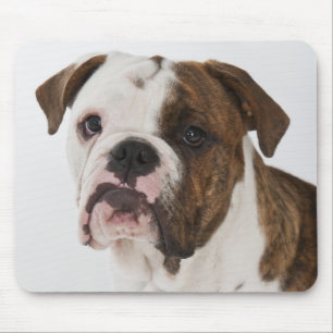 Portrait of cute bulldog pup mouse pad