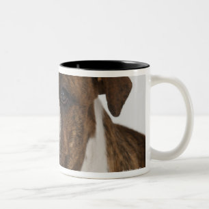 Portrait of cute bulldog pup Two-Tone coffee mug