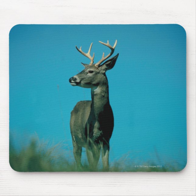 Portrait of deer mouse pad (Front)