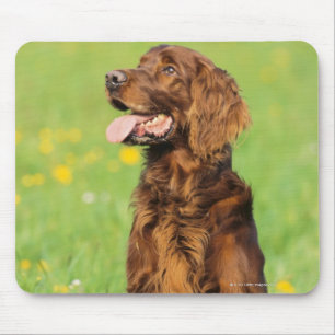 Portrait of Dog 2 Mouse Pad