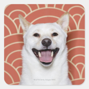 Portrait of Dog 3 Square Sticker