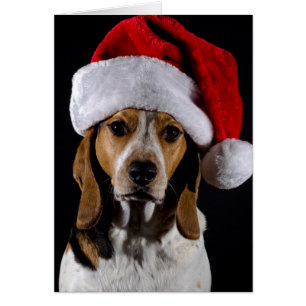 Portrait of dog hound wearing Christmas hat