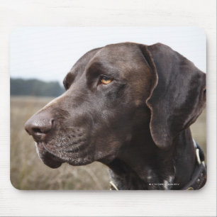 Portrait of Dog, Houston, Texas, USA Mouse Pad