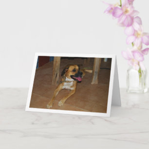 Portrait of Dog on Floor Card