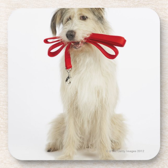 Portrait of Dog with Leash Coaster (Front)