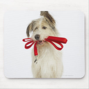Portrait of Dog with Leash Mouse Pad