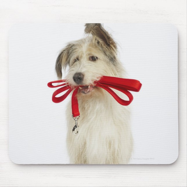 Portrait of Dog with Leash Mouse Pad (Front)