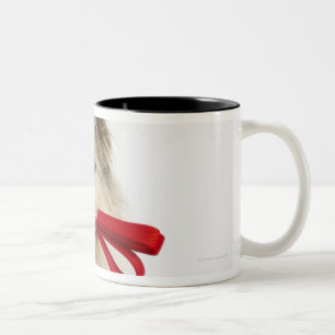 Portrait of Dog with Leash Two-Tone Coffee Mug