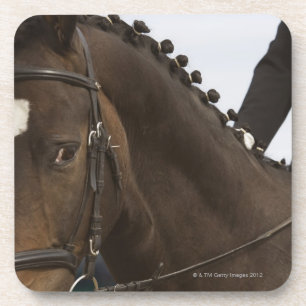 portrait of dressage horse coaster